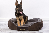Scruffs Chester Box Bed 