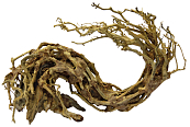 SuperFish Bonsai Wave L