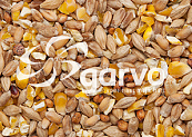 Garvo Gemengd Graan met gebroken mais <br>20 kg