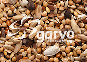 Garvo Agapornidenzaad 20 kg