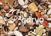 Garvo Papegaai <br>Fruit & Noot 15 kg