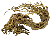 SuperFish Bonsai Wave M