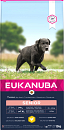 Eukanuba hondenvoer Caring Senior Large Breed 12 kg