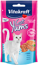 Vitakraft Cat Yums zalm 40 gr