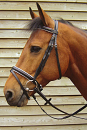 Harry's Horse hoofdstel Luxe zwart/wit