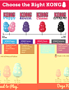 Kong Puppy assorti
