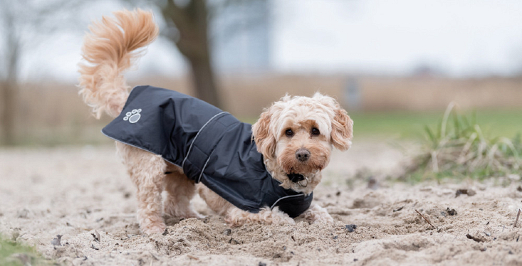 Warm en stijlvol naar buiten