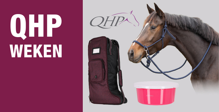 QHP weken op de ruitersportafdeling