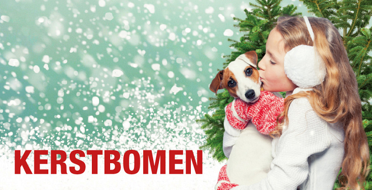 Heb jij al een kerstboom?