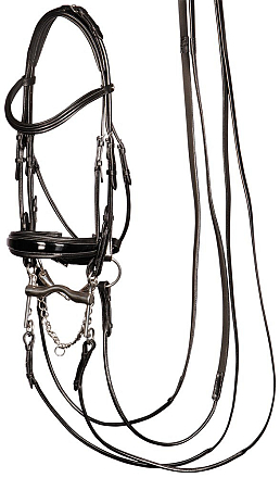 Harry's Horse hoofdstel stang & trens Grand Prix zwart