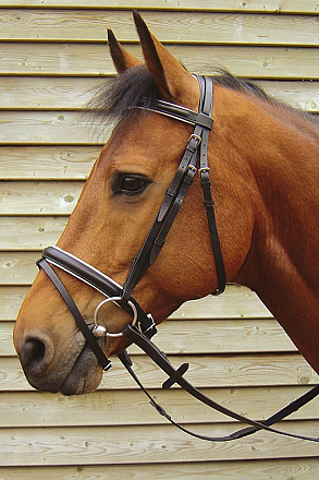 Harry's Horse hoofdstel Luxe zwart/wit
