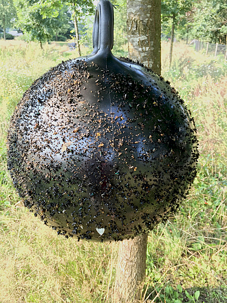 Horse Fly Trap Ball <br>45 cm