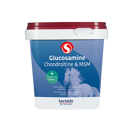 Equivital Glucosamine, Chondroïtine & MSM <br>1 kg