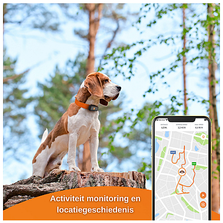 Weenect XS GPS Tracker Dogs Black