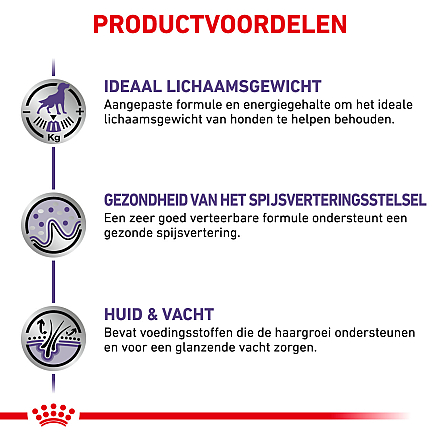 Royal Canin hondenvoer Neutered Adult 12 x 100 gr