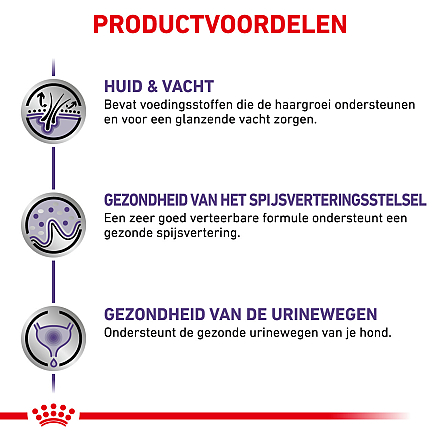 Royal Canin hondenvoer Adult <br>12 x 100 gr