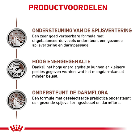 Royal Canin kattenvoer GastroIntestinal <br>12 x 85 gr