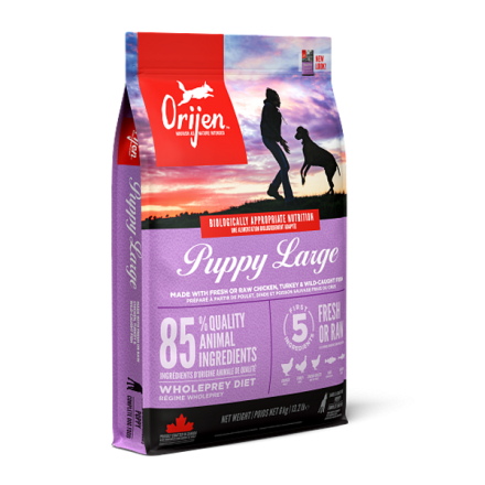 Orijen hondenvoer Puppy Large Breed 6 kg