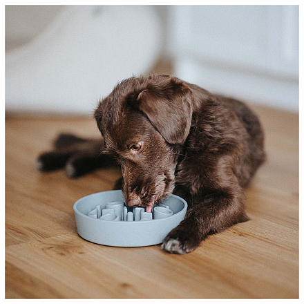 District 70 Slow Feeder Ice Blue