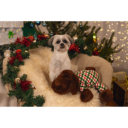 Beeztees Hondenspeelgoed Kerst XL knuffel Arrow