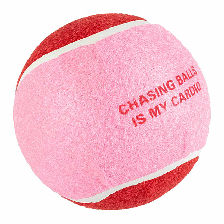 Coockoo Hondenspeelgoed Chase Me Rood/Roze XL