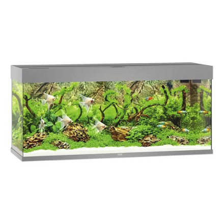 Juwel Aquarium Rio 240 LED met Filter Grijs