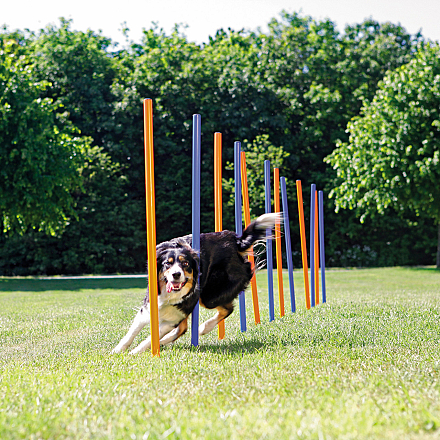 TRIXIE Dog Activity Agility Slalom
