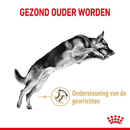 Royal Canin Hondenvoer German Shepherd Adult 5+ 12 kg