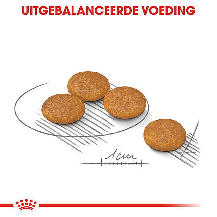 Royal Canin Hondenvoer Derma-comfort  Mini 3 kg