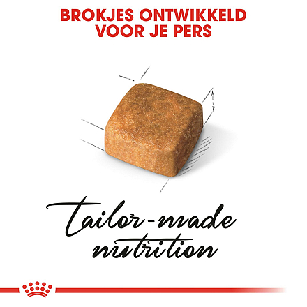 Royal Canin Kattenvoer Persian Kitten 400 gr