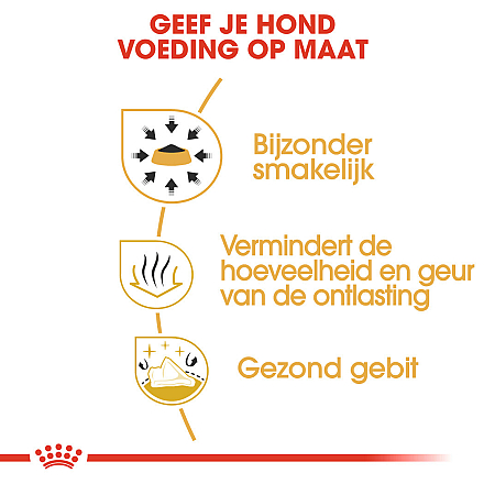 Royal Canin Hondenvoer Chihuahua Adult 500 gr