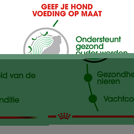 Royal Canin Hondenvoer Mini Ageing 12+ 1.5 kg