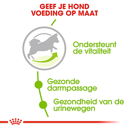 Royal Canin Hondenvoer<br> X-Small Adult 8+ 500 Gr