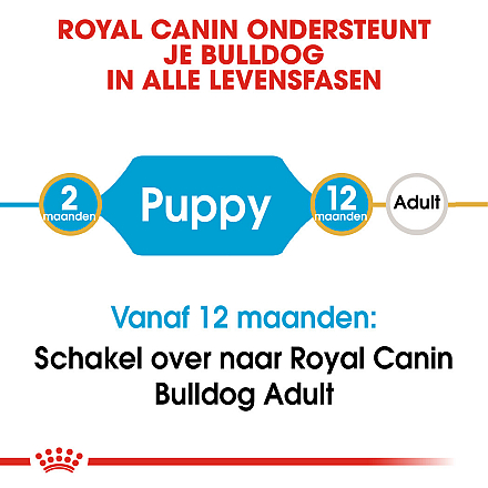 Royal Canin Hondenvoer Bulldog Puppy 12 kg
