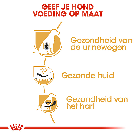 Royal Canin Hondenvoer Dalmatian Adult 12 kg