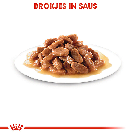 Royal Canin Kattenvoer Kitten in Gravy <br>12 x 85 gr