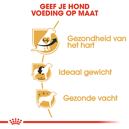 Royal Canin Hondenvoer Cavalier King Charles Adult 7,5 kg