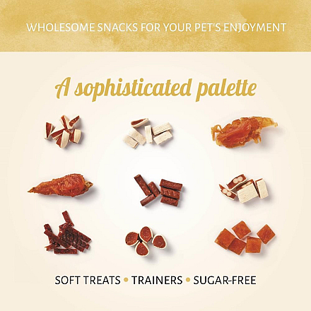 Antos Adventskalender Kat