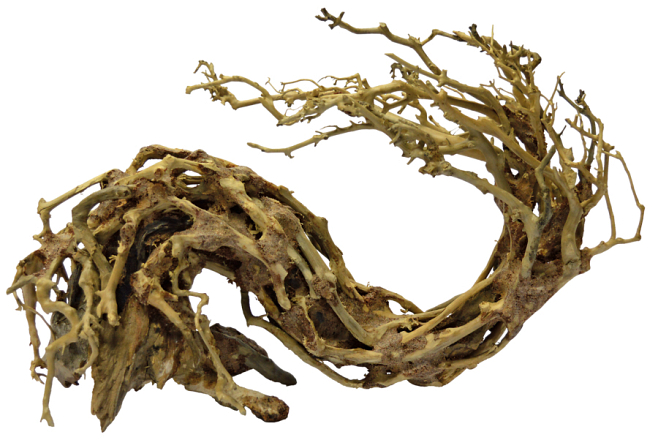 SuperFish Bonsai Wave L