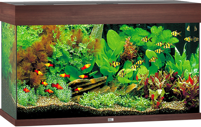 Juwel aquarium Rio 125 LED donkerbruin