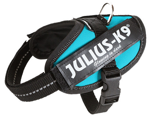 Julius K9 IDC Powerharness aquamarine