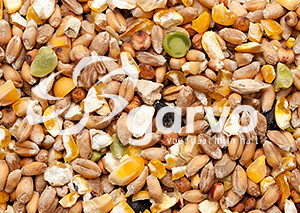 Garvo Scharrelgraan (zonder gerst) 20 kg