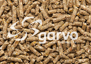 Garvo Kuikenopfokkorrel <br>20 kg