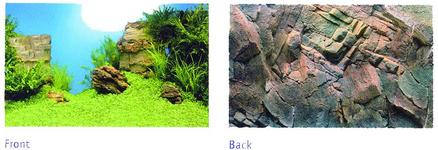 Juwel achterwand poster 1 S 60 x 30 cm