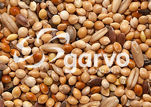 Garvo Parkiet Extra <br>20 kg