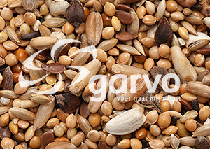 Garvo Agapornidenzaad 20 kg