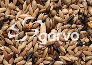 Garvo Kanarie Zonder Raap 20 kg