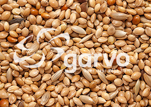 Garvo Tropisch Speciaal 20 kg