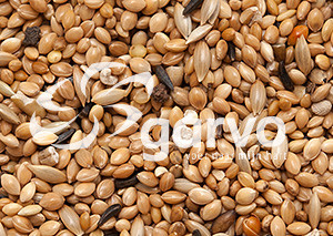 Garvo Tropisch Extra <br>20 kg