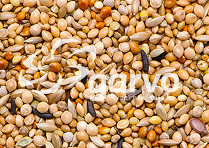 Garvo Tropical Gold <br>20 kg